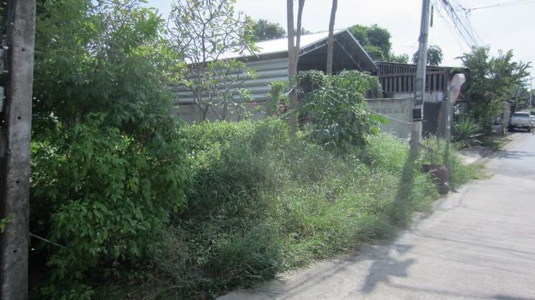 ใช่ 💖 บ้าน เมืองกาญจนบุรี ราคาพิเศษ! 💖 รูปที่ 3