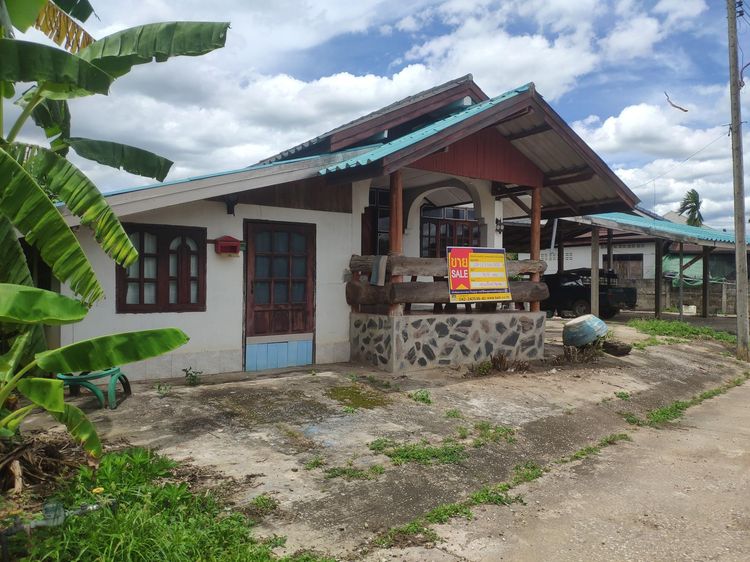 ใช่ 💖 บ้าน ท่าลี่ ราคาพิเศษ! 💖 รูปที่ 2