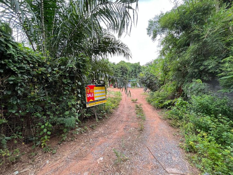 💖 บ้าน ด่านขุนทด ราคาพิเศษ! 💖