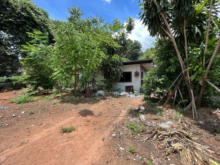 ใช่ 💖 บ้าน ด่านขุนทด ราคาพิเศษ! 💖 รูปที่ 4