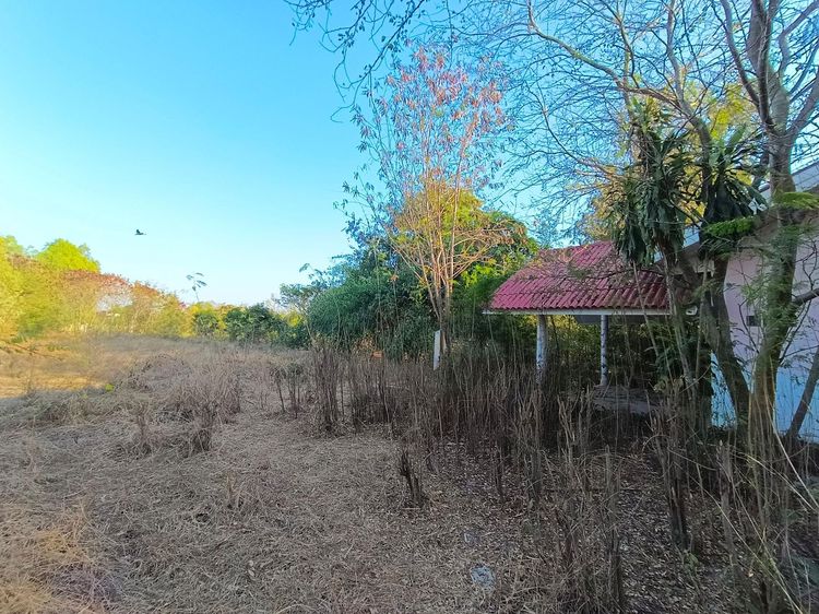 ใช่ 💖 บ้าน หนองหญ้าไซ ราคาพิเศษ! 💖 รูปที่ 3