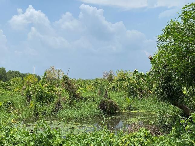 ใช่ 💖 บ้าน หนองแค ราคาพิเศษ! 💖 รูปที่ 4