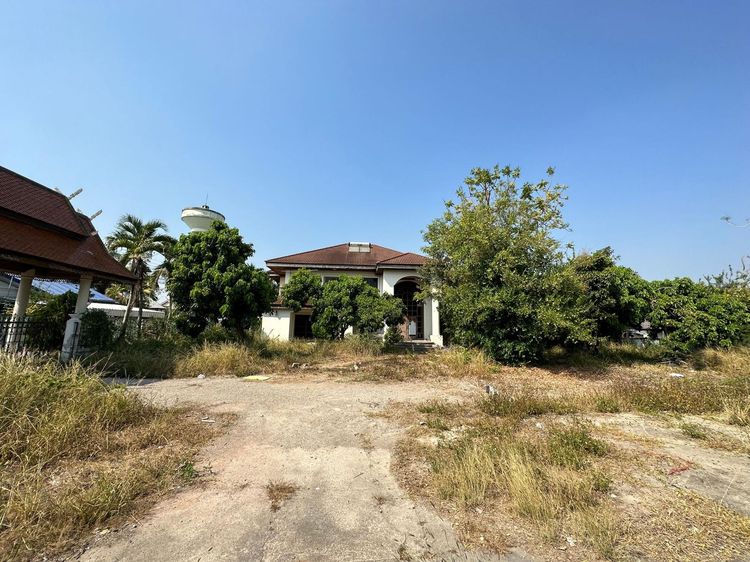 ใช่ 💖 บ้าน สันป่าตอง ราคาพิเศษ! 💖 รูปที่ 4