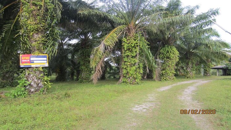 💖 บ้าน ปะทิว ราคาพิเศษ! 💖