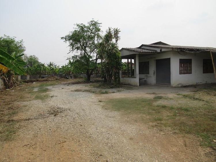 ใช่ 💖 บ้าน เชียงของ ราคาพิเศษ! 💖 รูปที่ 2