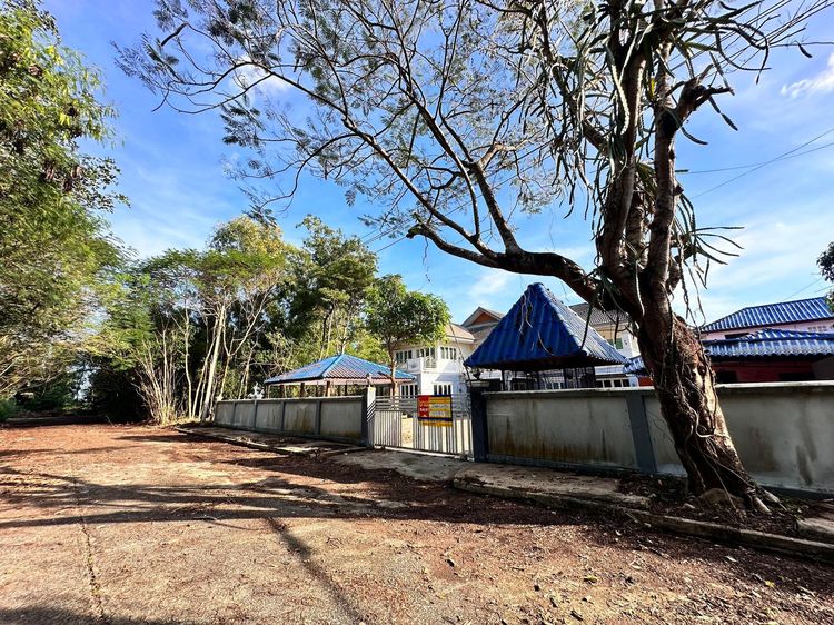 ใช่ 💖 บ้าน องครักษ์ ราคาพิเศษ! 💖 รูปที่ 2