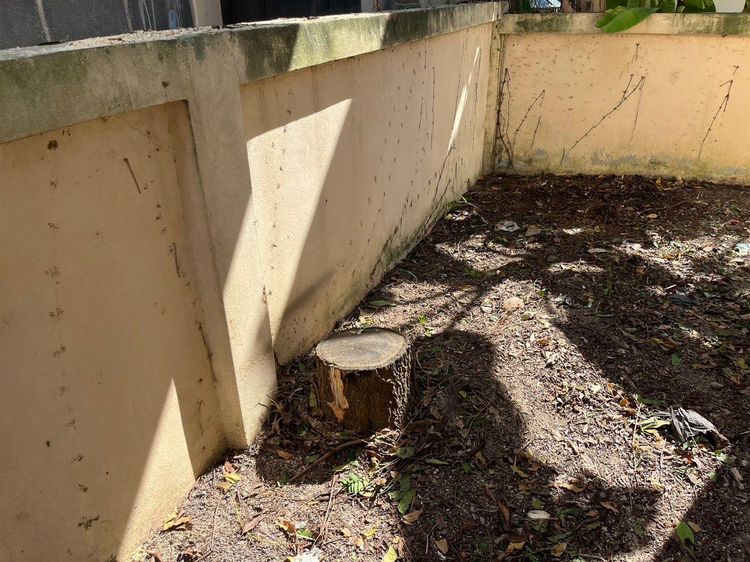 ใช่ 💖 บ้าน ปลวกแดง ราคาพิเศษ! 💖 รูปที่ 4