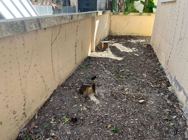 ใช่ 💖 บ้าน ปลวกแดง ราคาพิเศษ! 💖 รูปที่ 3