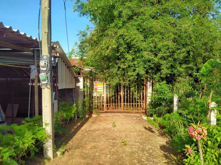 💖 บ้าน เมืองร้อยเอ็ด ราคาพิเศษ! 💖