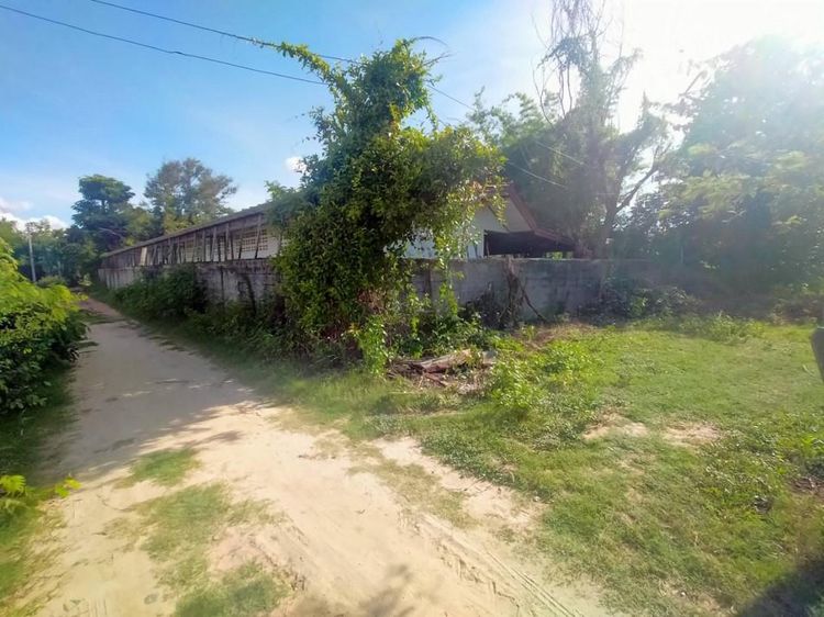 āđāļāđ ð āļāđāļēāļ āđāļĄāļ·āļāļāļĢāđāļāļĒāđāļāđāļ āļĢāļēāļāļēāļāļīāđāļĻāļĐ! ð āļĢāļđāļāļāļĩāđ 4