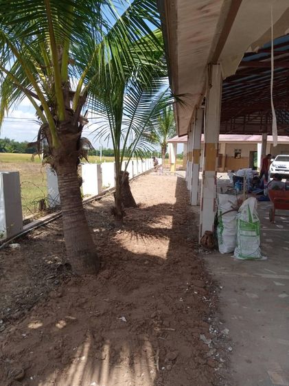 ใช่ 💖 บ้าน พังโคน ราคาพิเศษ! 💖 รูปที่ 4