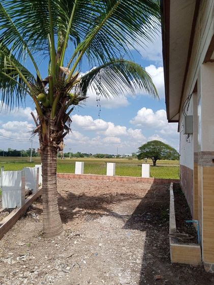 āđāļāđ ð āļāđāļēāļ āļāļąāļāđāļāļ āļĢāļēāļāļēāļāļīāđāļĻāļĐ! ð āļĢāļđāļāļāļĩāđ 3