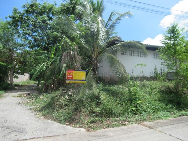 💖 บ้าน เกาะสมุย ราคาพิเศษ! 💖