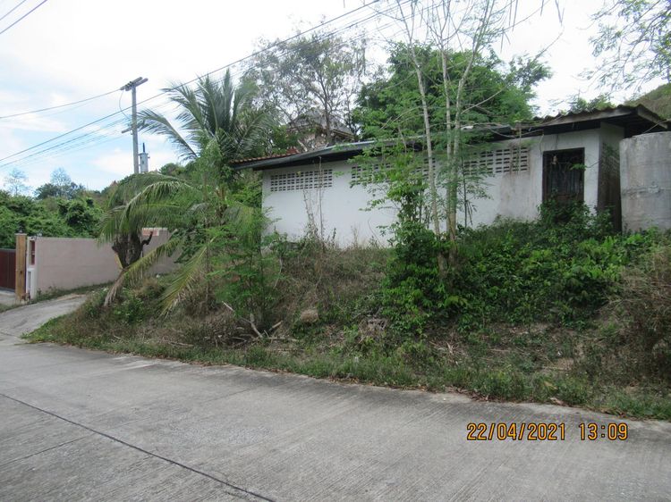 ใช่ 💖 บ้าน เกาะสมุย ราคาพิเศษ! 💖 รูปที่ 4