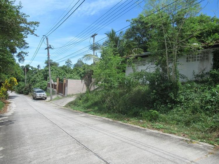 ใช่ 💖 บ้าน เกาะสมุย ราคาพิเศษ! 💖 รูปที่ 2