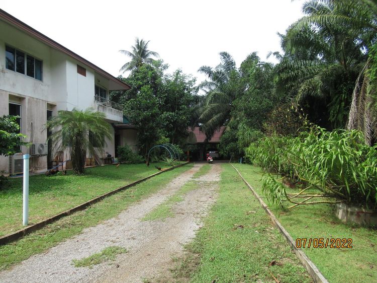 ใช่ 💖 บ้าน พุนพิน ราคาพิเศษ! 💖 รูปที่ 3