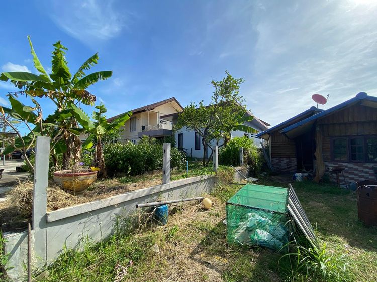 ใช่ 💖 บ้าน เมืองอำนาจเจริญ ราคาพิเศษ! 💖 รูปที่ 4