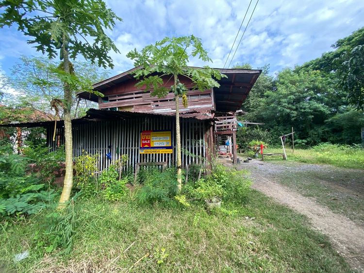 ใช่ 💖 บ้าน ภาชี ราคาพิเศษ! 💖