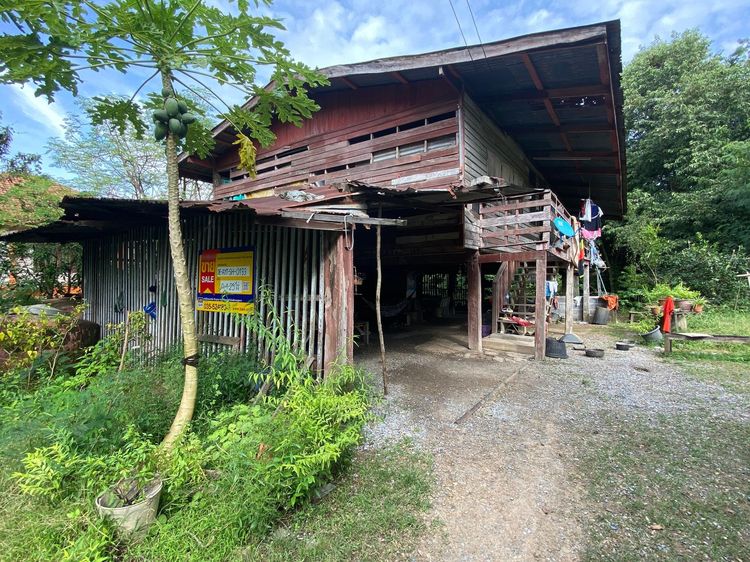 ใช่ 💖 บ้าน ภาชี ราคาพิเศษ! 💖 รูปที่ 2