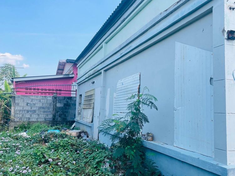 ใช่ 💖 บ้าน วังน้อย ราคาพิเศษ! 💖 รูปที่ 3