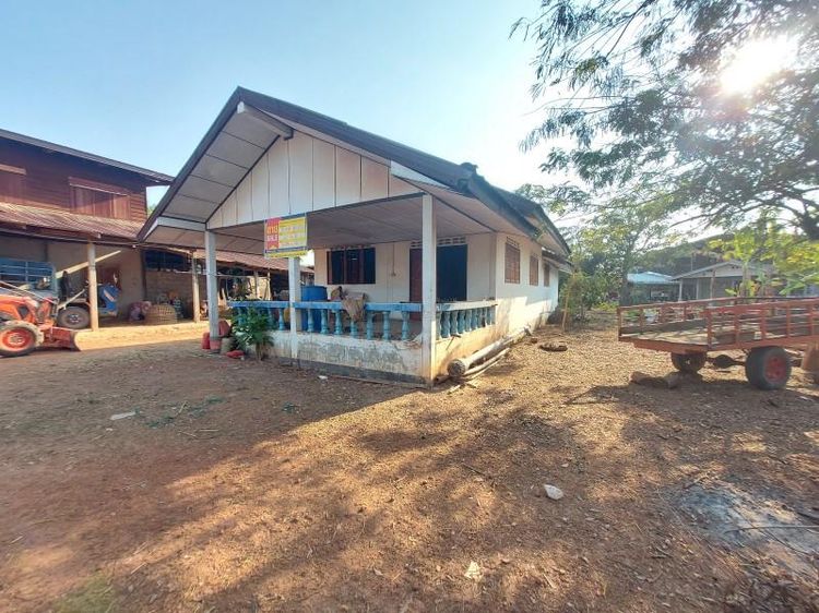 ใช่ 💖 บ้าน เซกา ราคาพิเศษ! 💖 รูปที่ 2