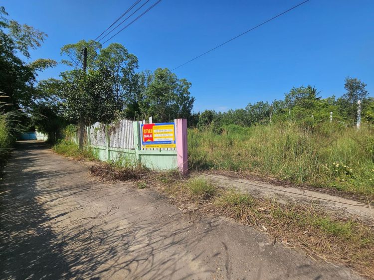 ใช่ 💖 บ้าน เมืองบึงกาฬ ราคาพิเศษ! 💖 รูปที่ 4