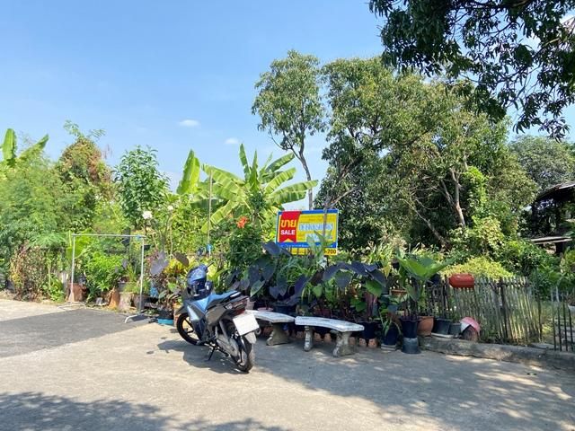 āđāļāđ ð āļāđāļēāļ āļ āļēāļĐāļĩāđāļāļĢāļīāļ āļĢāļēāļāļēāļāļīāđāļĻāļĐ! ð āļĢāļđāļāļāļĩāđ 3