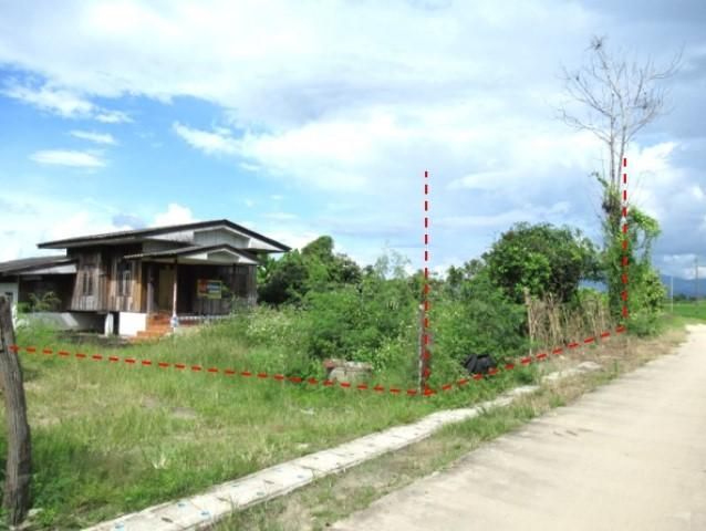 ใช่ 💖 บ้าน แม่อาย ราคาพิเศษ! 💖 รูปที่ 2