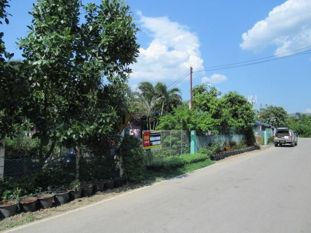 💖 บ้าน สันทราย ราคาพิเศษ! 💖