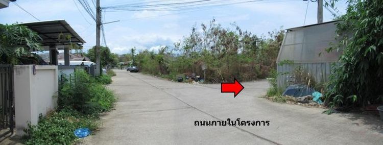 ใช่ 💖 บ้าน สันกำแพง ราคาพิเศษ! 💖 รูปที่ 4