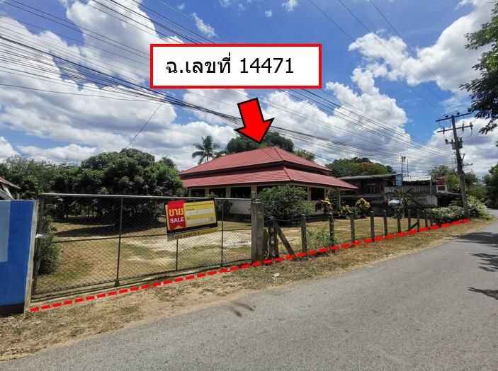 💖 บ้าน สันป่าตอง ราคาพิเศษ! 💖