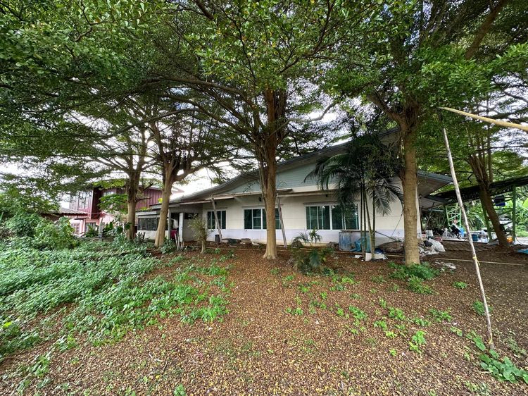 ใช่ 💖 บ้าน สารภี ราคาพิเศษ! 💖 รูปที่ 3