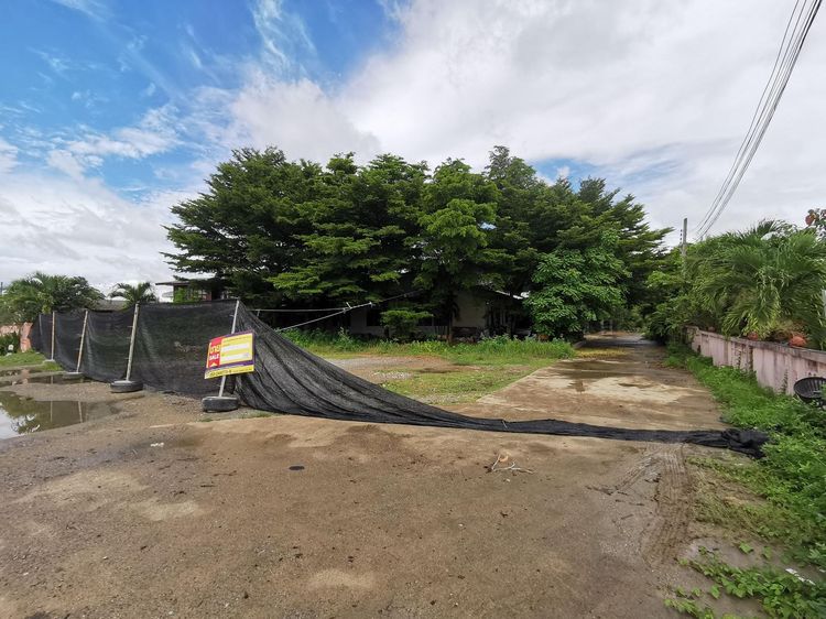 💖 บ้าน สารภี ราคาพิเศษ! 💖