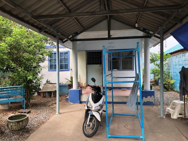 āđāļāđ ð āļāđāļēāļ āļāļēāļāļĨāļ°āļĄāļļāļ āļĢāļēāļāļēāļāļīāđāļĻāļĐ! ð āļĢāļđāļāļāļĩāđ 3