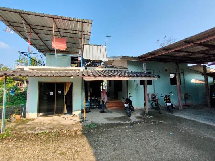 ใช่ 💖 บ้าน เมืองเชียงราย ราคาพิเศษ! 💖 รูปที่ 3