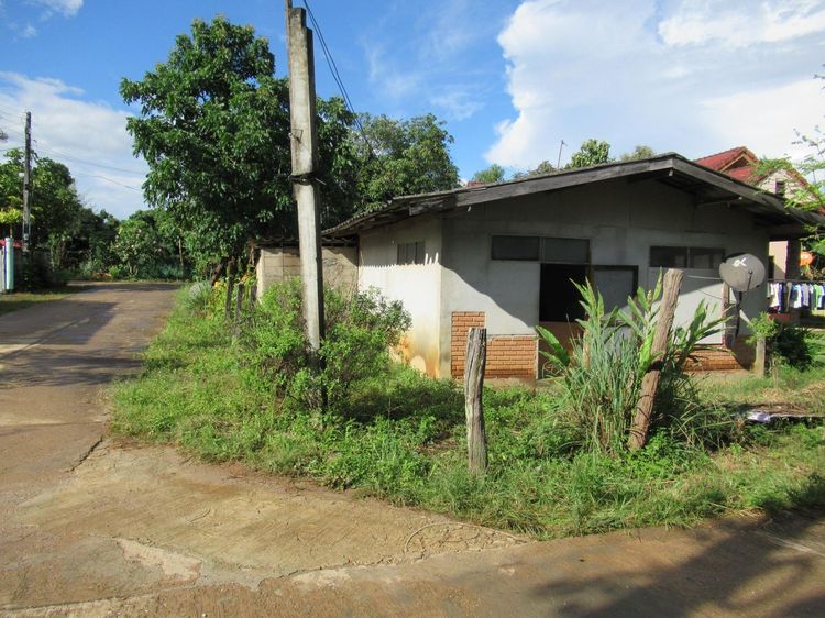 ใช่ 💖 บ้าน เมืองเชียงราย ราคาพิเศษ! 💖 รูปที่ 4