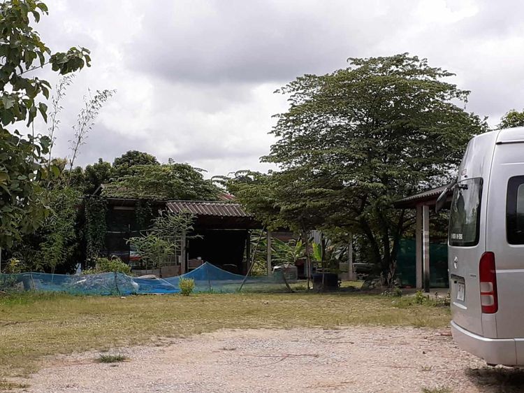 ใช่ 💖 บ้าน เชียงของ ราคาพิเศษ! 💖 รูปที่ 4