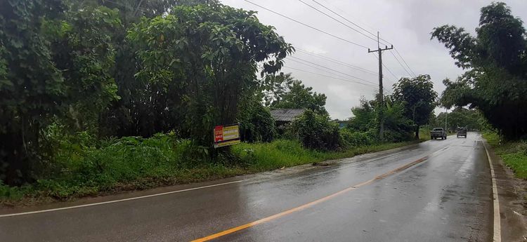 ใช่ 💟 บ้านเดี่ยว เชียงราย 💟 รูปที่ 2