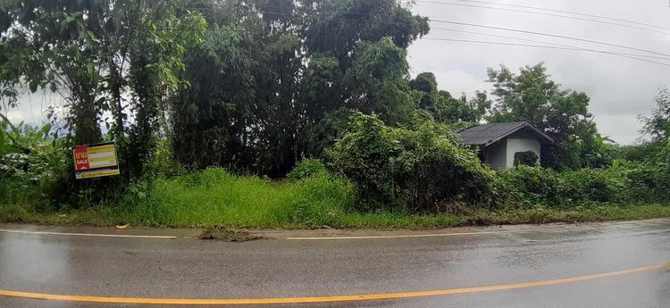 ใช่ 💟 บ้านเดี่ยว เชียงราย 💟 รูปที่ 4