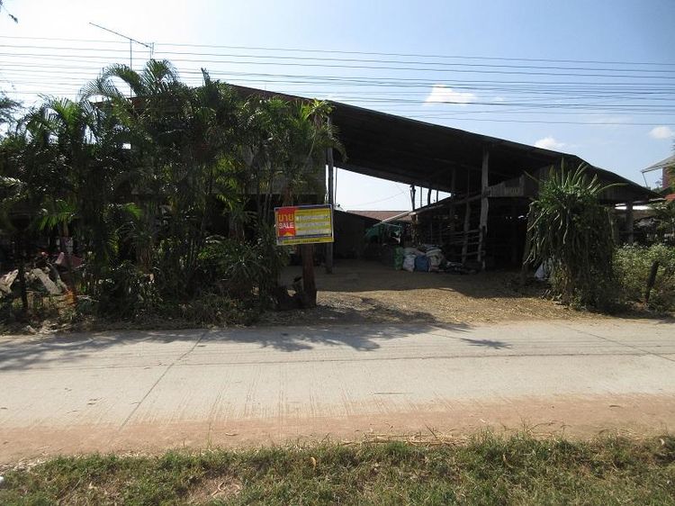 ใช่ 💖 บ้าน ภูเขียว ราคาพิเศษ! 💖 รูปที่ 2