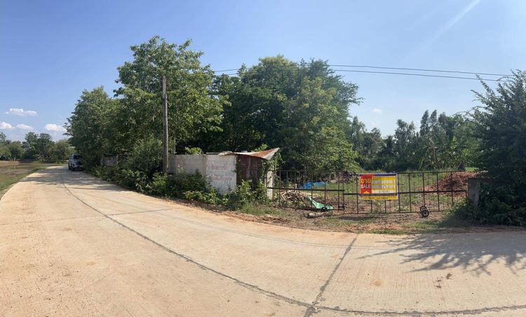 ใช่ 💖 บ้าน เมืองชัยภูมิ ราคาพิเศษ! 💖 รูปที่ 3