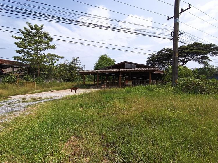 ใช่ 💖 บ้าน น้ำพอง ราคาพิเศษ! 💖 รูปที่ 2