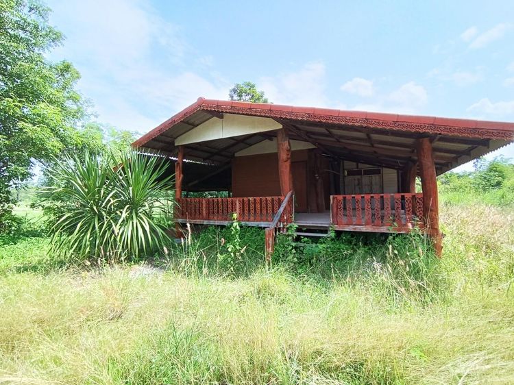 ใช่ 💖 บ้าน น้ำพอง ราคาพิเศษ! 💖 รูปที่ 4