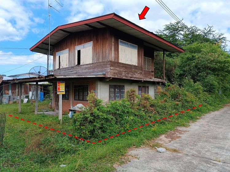 ใช่ 💖 บ้าน บ้านไผ่ ราคาพิเศษ! 💖 รูปที่ 3