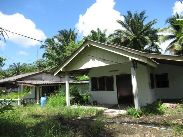 āđāļāđ ð āļāđāļēāļ āđāļŦāļāļ·āļāļāļĨāļāļ āļĢāļēāļāļēāļāļīāđāļĻāļĐ! ð āļĢāļđāļāļāļĩāđ 2