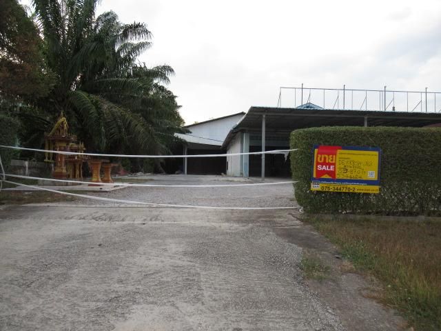 ใช่ 💖 บ้าน เหนือคลอง ราคาพิเศษ! 💖