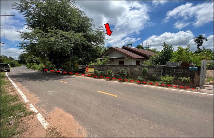 ใช่ 💖 บ้าน เมืองกาฬสินธุ์ ราคาพิเศษ! 💖 รูปที่ 2