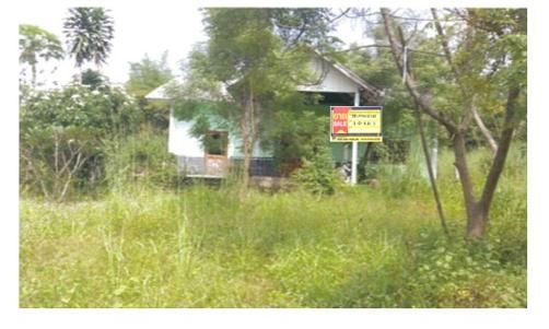 ใช่ 💖 บ้าน เมืองเลย ราคาพิเศษ! 💖 รูปที่ 2