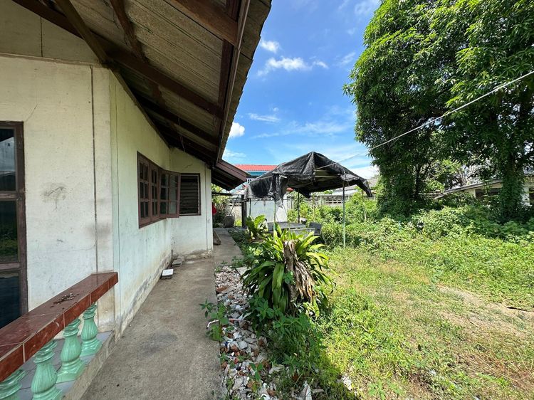 ใช่ 💖 บ้าน ชัยบาดาล ราคาพิเศษ! 💖 รูปที่ 3