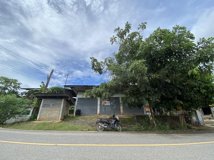 💖 บ้าน ลี้ ราคาพิเศษ! 💖